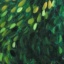Canopy's Secret thumbnail 3