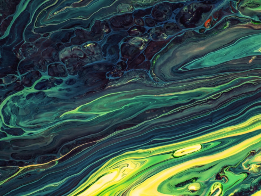 Art8